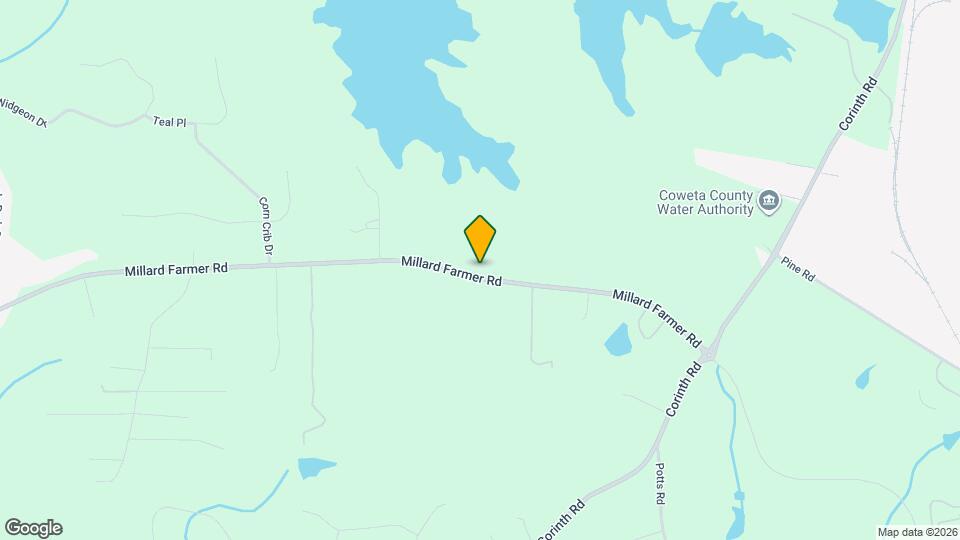 1118 Millard Farmer Rd Mapa y Detalles de la Ubicación