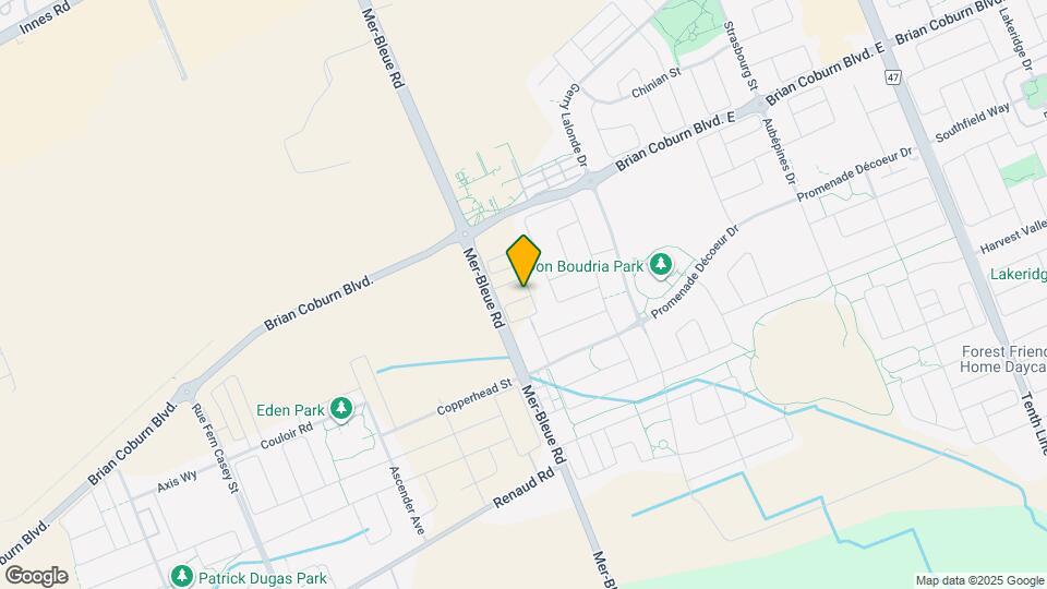 217 Ryan Reynolds Wy Map and Location Details