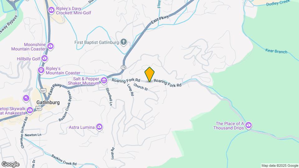 210 Roaring Fork Rd Mapa y Detalles de la Ubicación