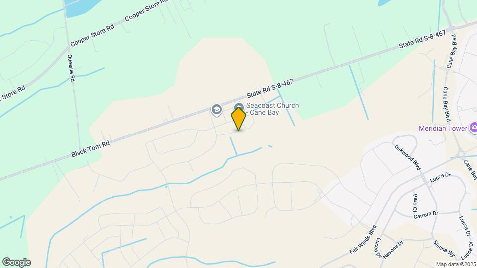 319 Calla Lily Ct Map and Location Details