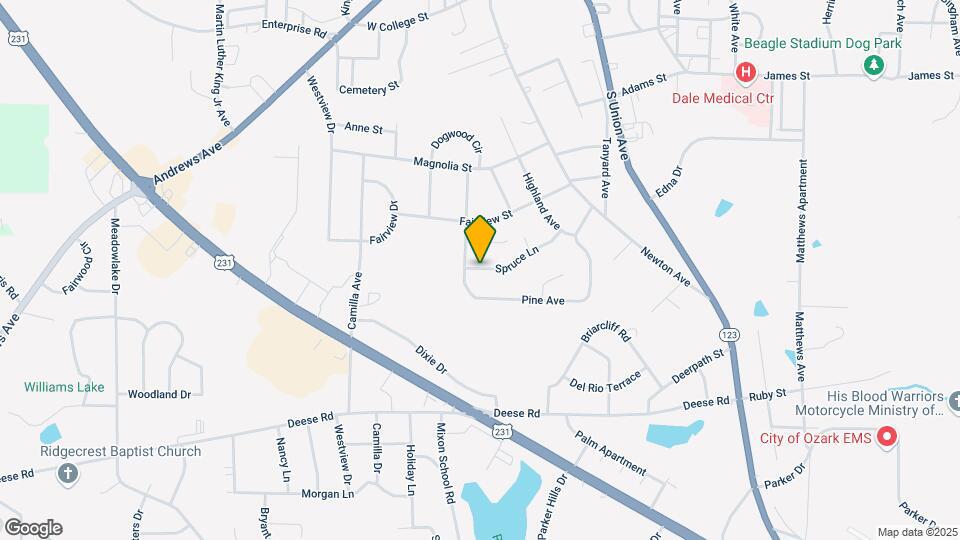 359 Spruce Ln Map and Location Details