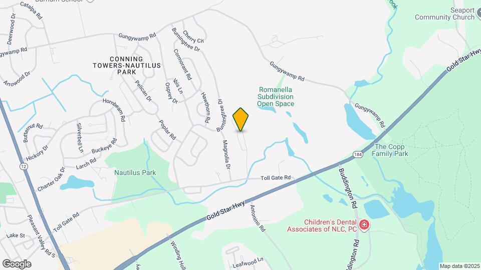 117 Peters Dr Map and Location Details