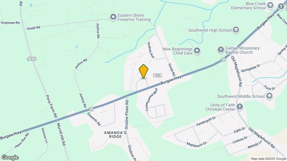 203 Appaloosa Dr Map and Location Details