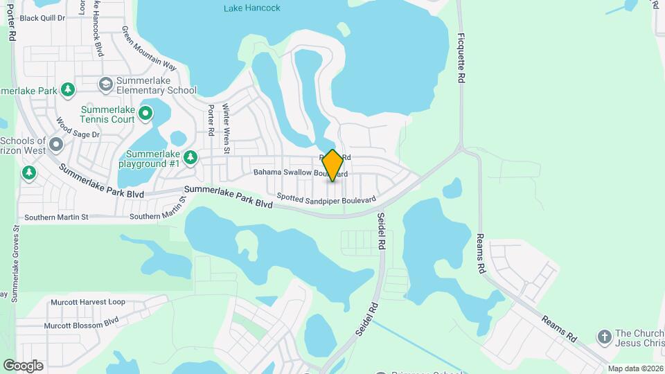 8119 Laughing Gull Street Map and Location Details