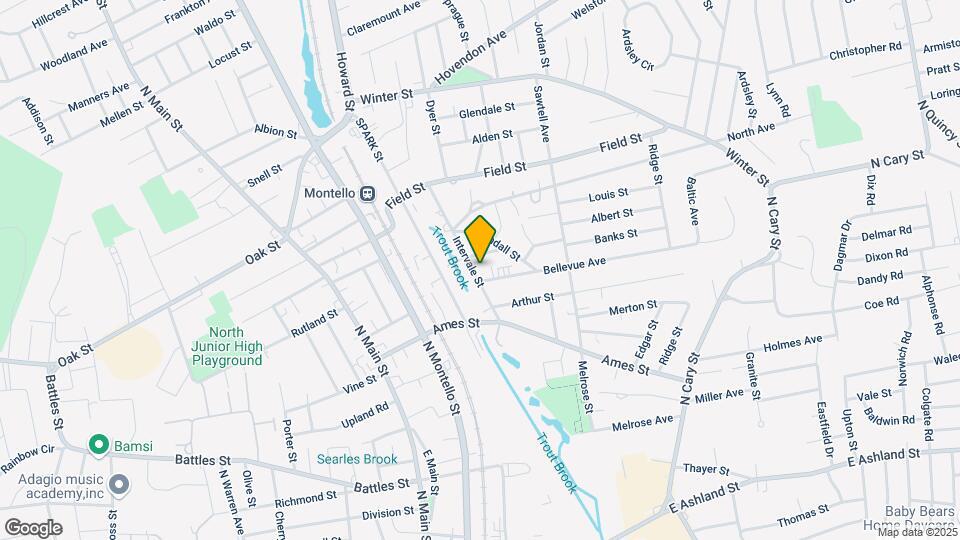 49 Intervale St Map and Location Details