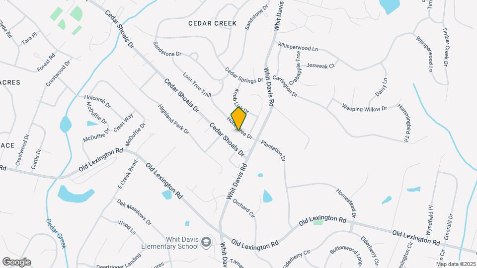 125 Honeytree Dr Map and Location Details