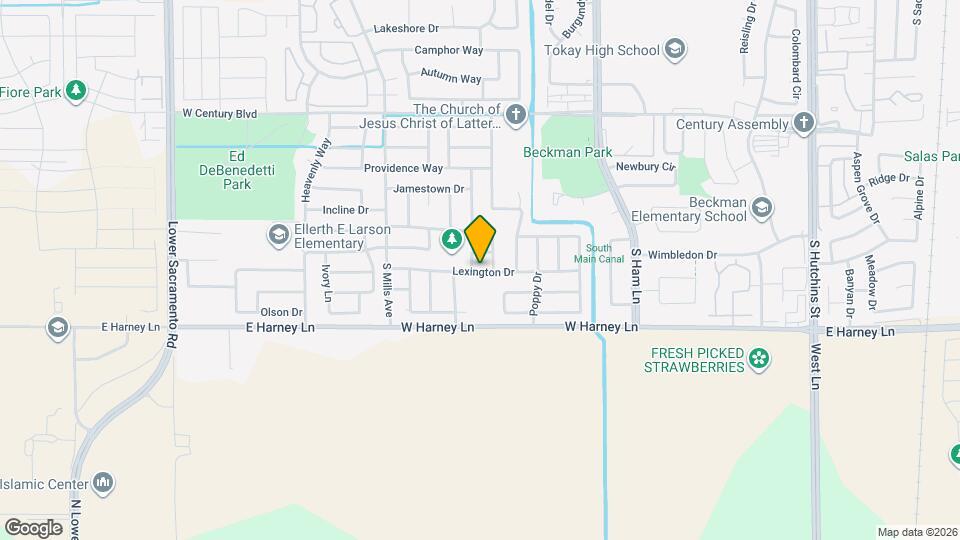 1637 Lexington Dr Rentals in Lodi, CA