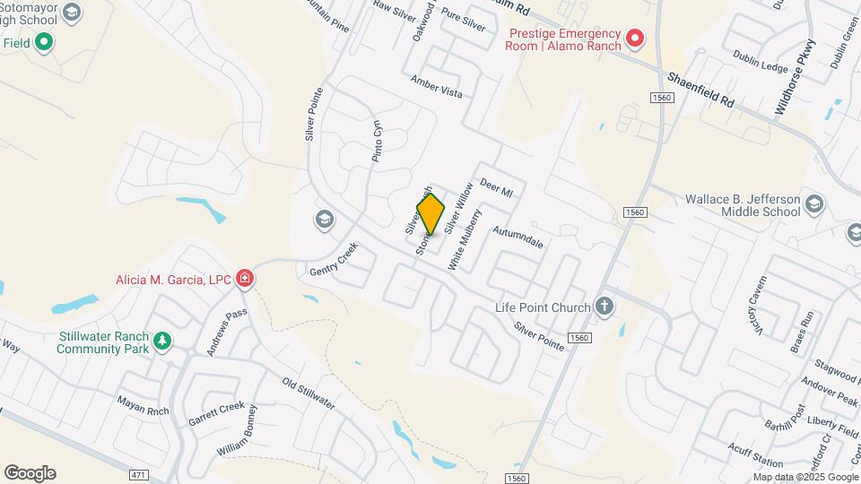 8410 Stone Chase Mapa y Detalles de la Ubicación