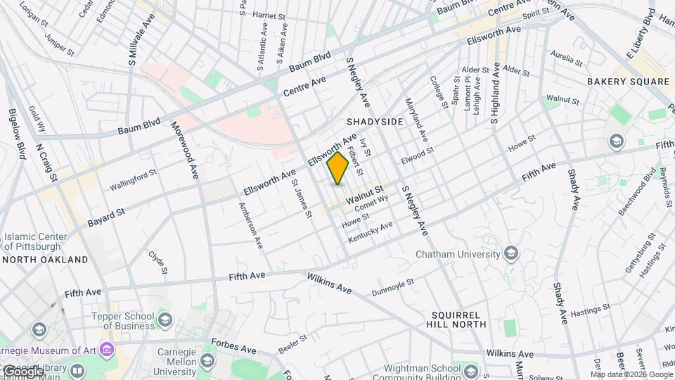 717 Copeland St Mapa y Detalles de la Ubicación