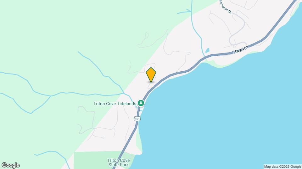 101 Pollock Dr Mapa y Detalles de la Ubicación