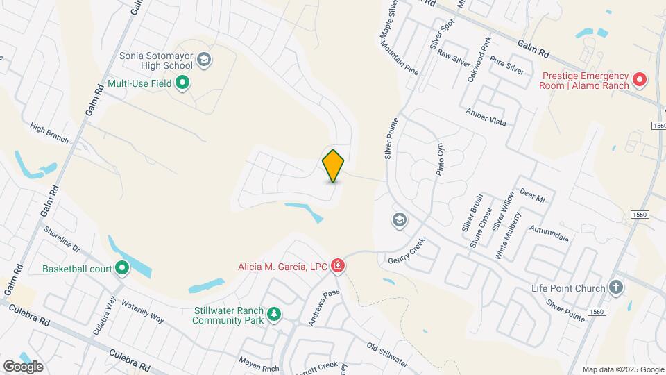 12402 Mineshaft Map and Location Details