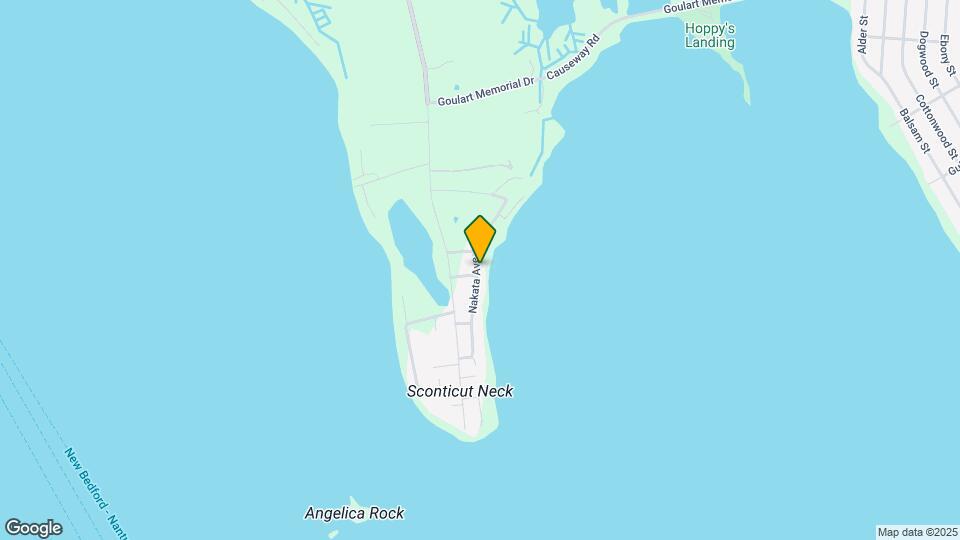 45 Nakata Ave Mapa y Detalles de la Ubicación