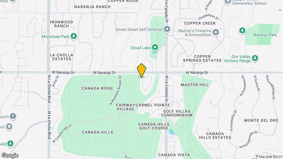 11151 N Desert Flower Dr Map and Location Details