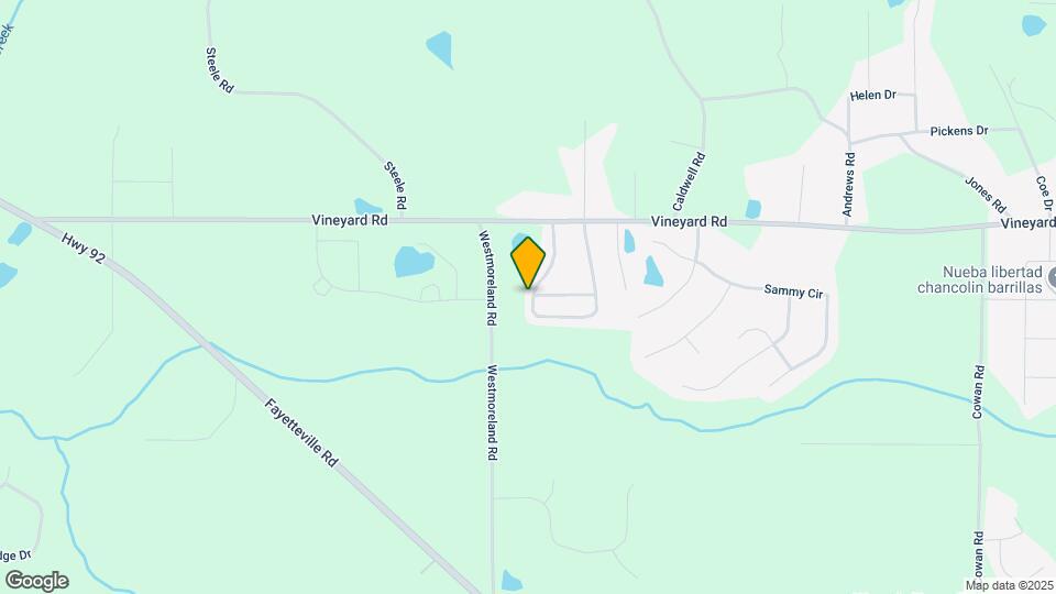 217 Vineyard Ridge Dr Map and Location Details