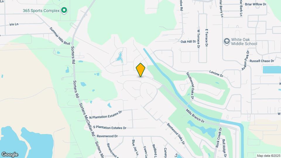 25003 Stratton Meadows Dr Map and Location Details