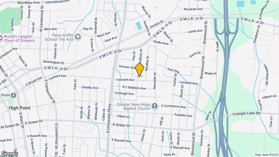 317 Woodbury St Map and Location Details