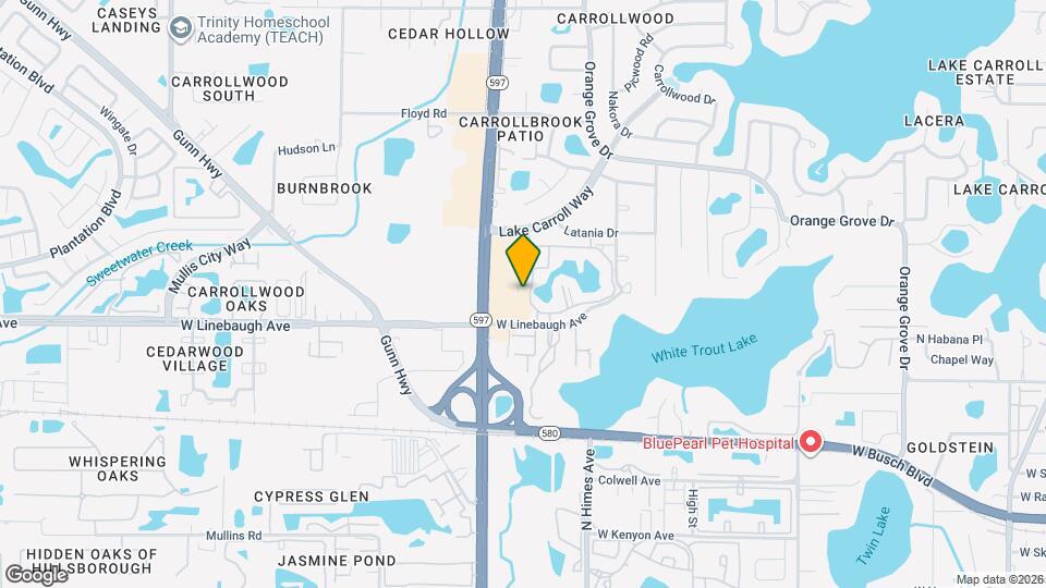 10325 Carrollwood Ln Map and Location Details