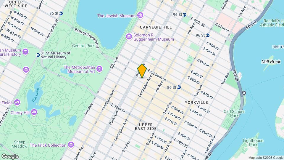 119-121 E 84th St Mapa y Detalles de la Ubicación
