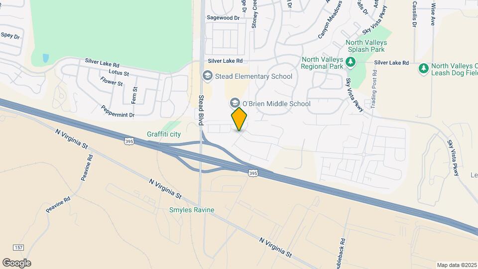 9774 Silver Dollar Ln Map and Location Details