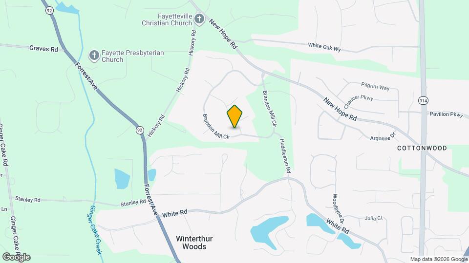 225 Brandon Mill Cir Mapa y Detalles de la Ubicación