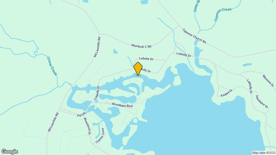 336 Bald Cypress Dr Map and Location Details