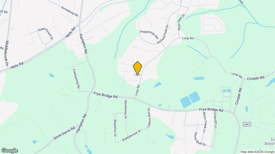 110 Salem Ridge Ct Map and Location Details