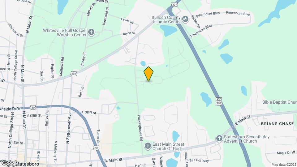 193 Braxton Blvd Map and Location Details