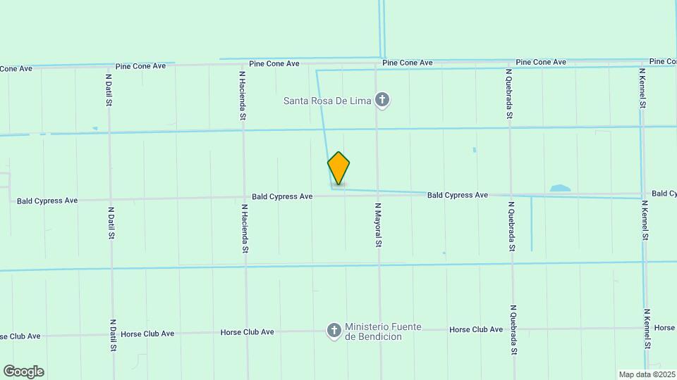 369 Bald Cypress Ave Mapa y Detalles de la Ubicación