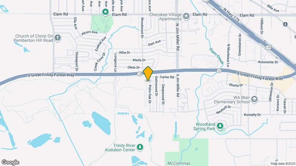 119 Palm Oak Dr Map and Location Details