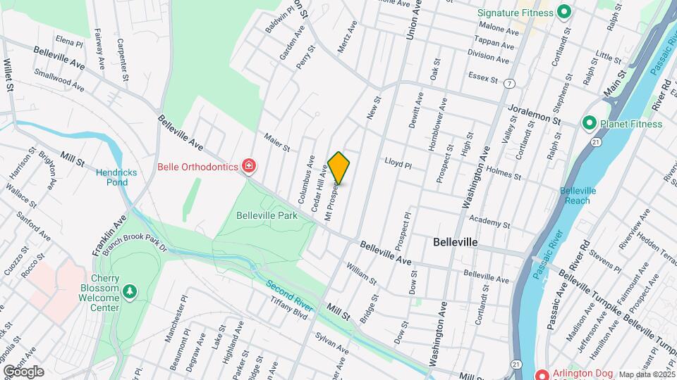 54 Mt Prospect Ave Mapa y Detalles de la Ubicación