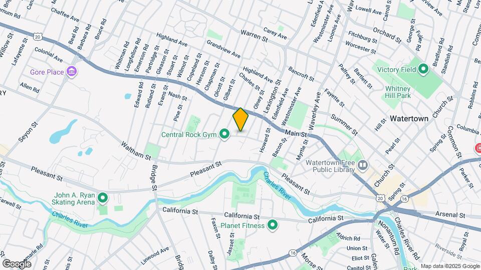 44 Morton St Map and Location Details