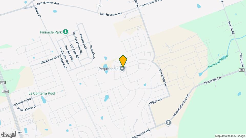 513 Shiner Ln Mapa y Detalles de la Ubicación