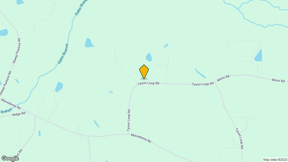 2066 Tyson Loop Rd Map and Location Details