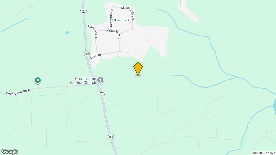 295 Oak Meadows Dr Map and Location Details