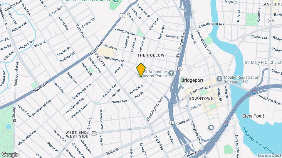 219 Coleman St Mapa y Detalles de la Ubicación