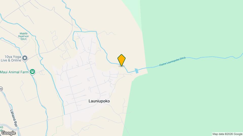 118 E Huapala Pl Mapa y Detalles de la Ubicación