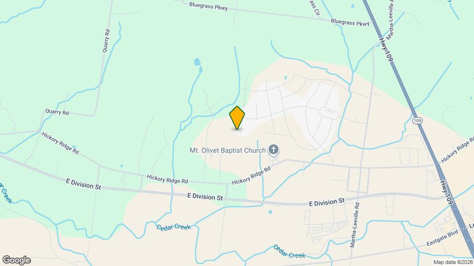 1401 Autumn Leaf Ln Mapa y Detalles de la Ubicación