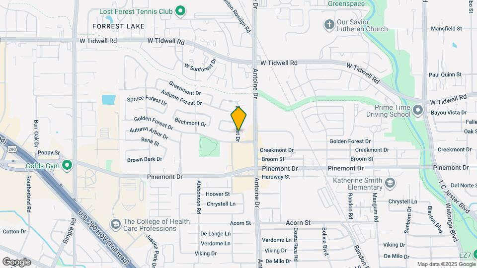 5414 Deep Forest Dr Map and Location Details