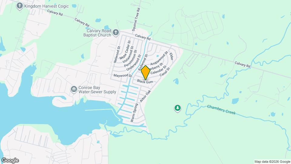 9770 Black Gum Map and Location Details