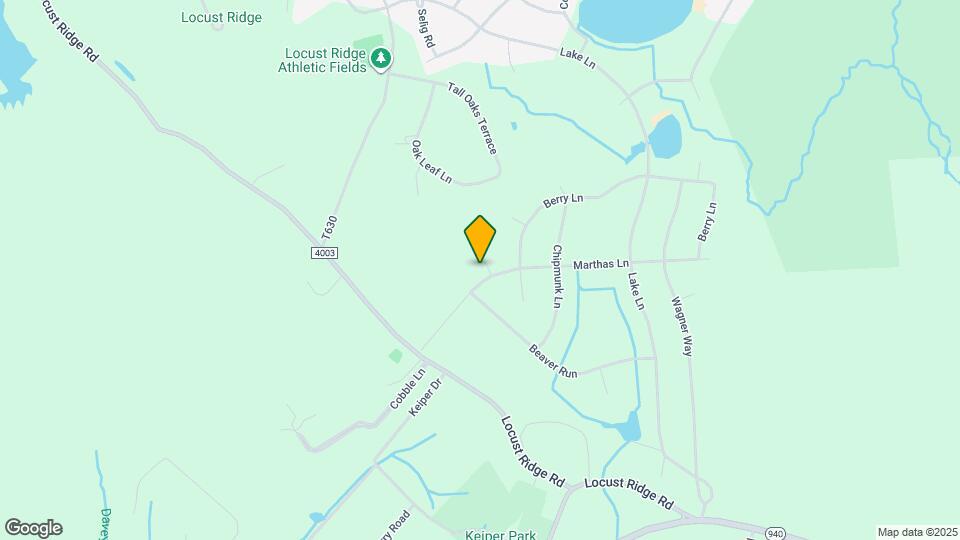 109 Rising Sun Ct Mapa y Detalles de la Ubicación