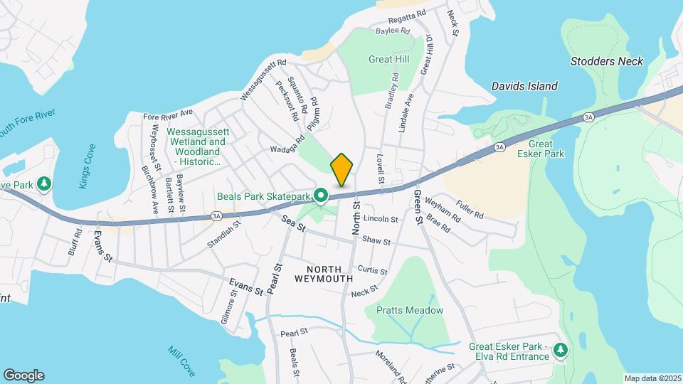 536 Bridge St, Unit Unit 2 Mapa y Detalles de la Ubicación