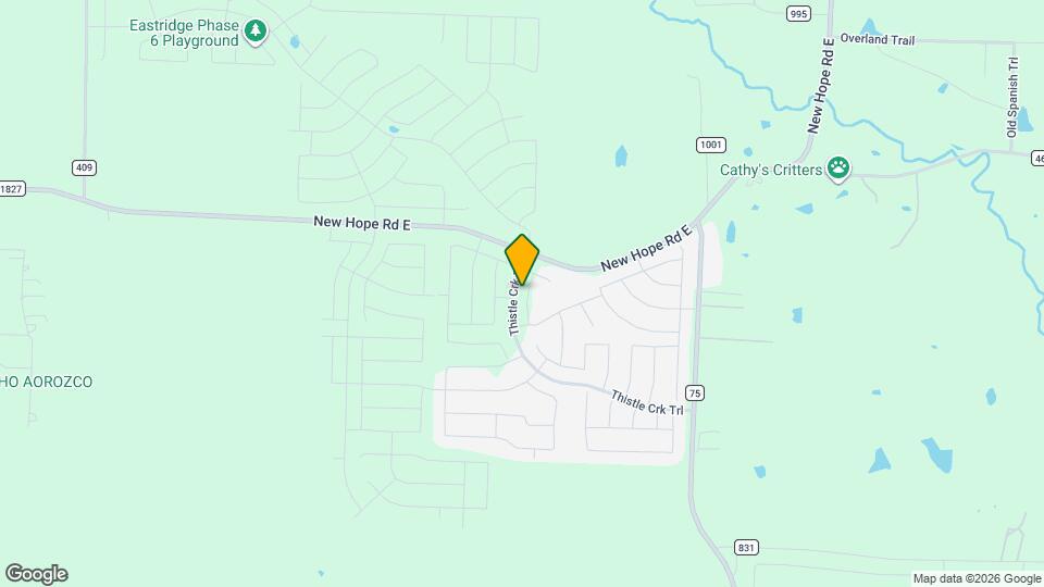 5204 Golden Trout Dr Mapa y Detalles de la Ubicación