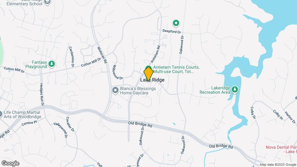 2955 Lexington Ct Map and Location Details