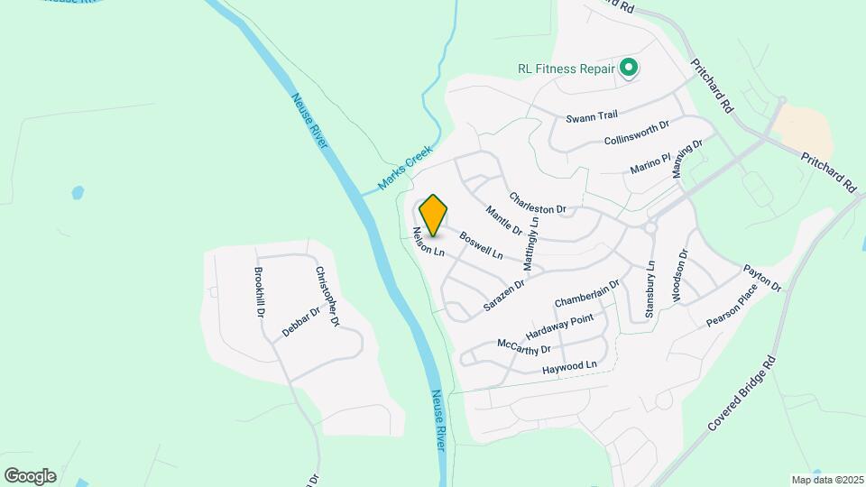 217 Nelson Ln Map and Location Details