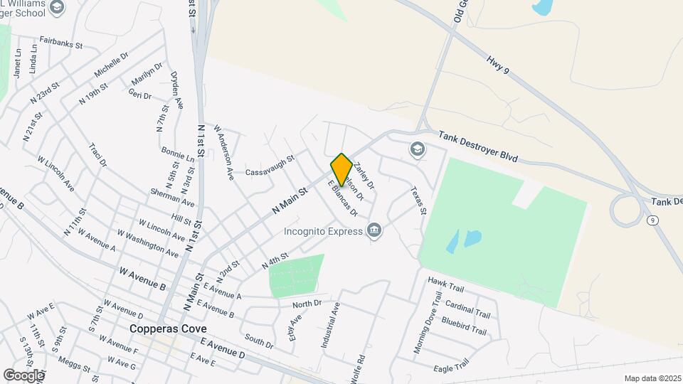 109 E Blancas Dr Map and Location Details