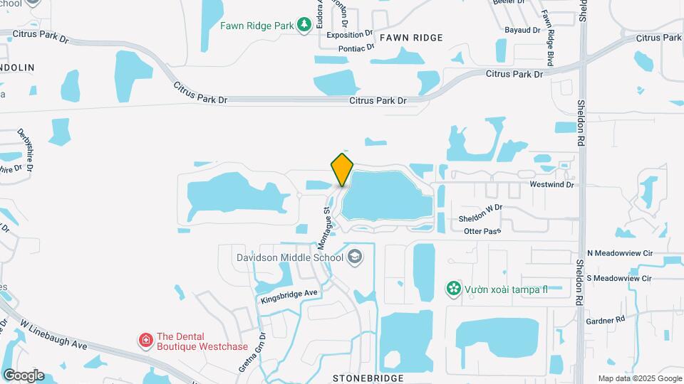 9058 Lake Chase Island Way Map and Location Details