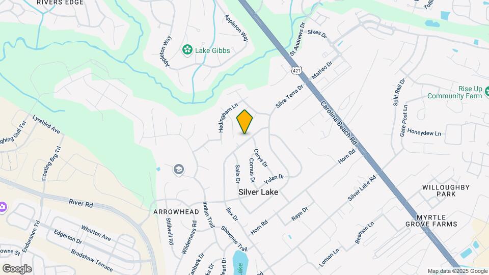 305 Ilex Dr Map and Location Details