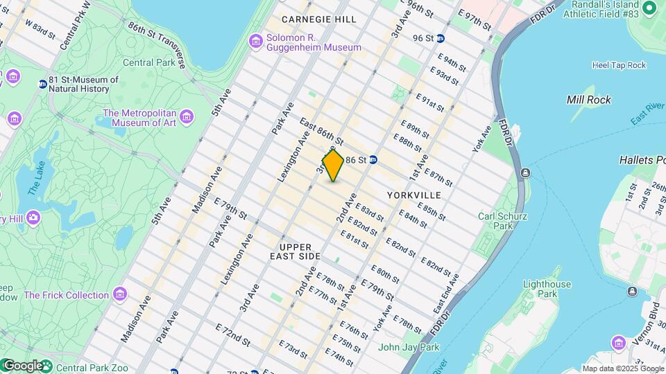 221 E 83rd St Mapa y Detalles de la Ubicación
