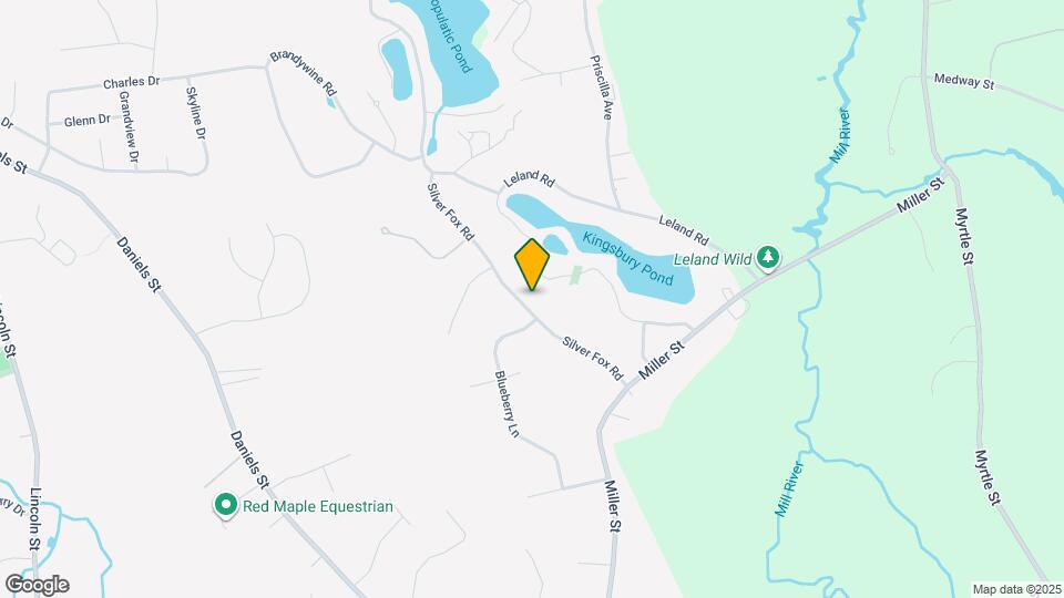 45 Silver Fox Rd Map and Location Details