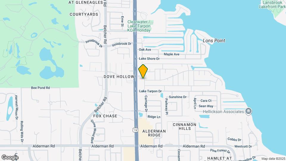 Lake Tarpon Apartments Map and Location Details